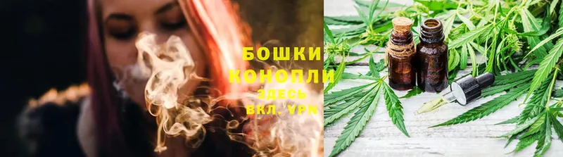 Бошки марихуана OG Kush  Городовиковск 